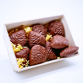 Bourriche Huîtres Pralinées Lait