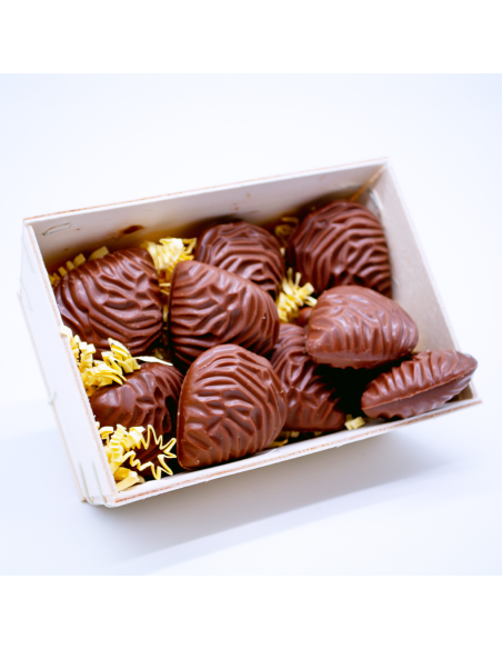 Bourriche Huîtres Pralinées Lait