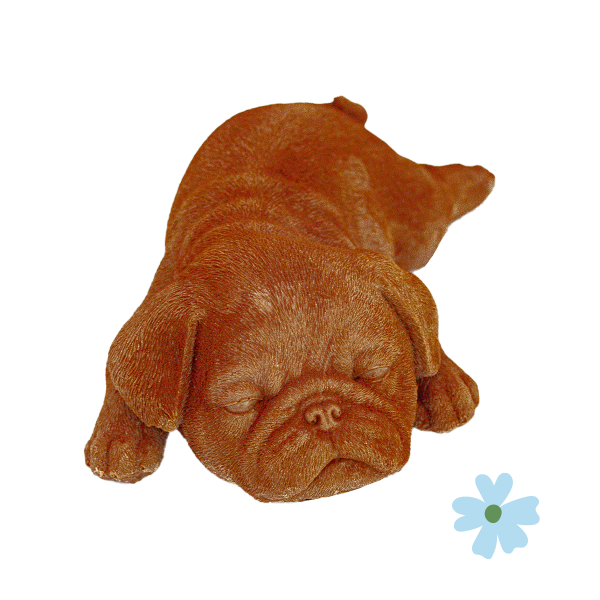 Le Bouledogue